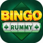 Bingo rummy